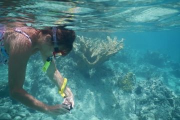 snorkel-hanauma-bay