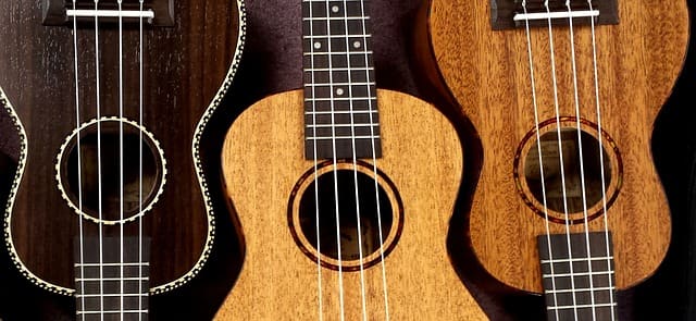 Ukulele - souvenir from Hawaii